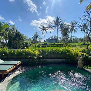 One Bedroom Private Pool Villa Rice Field View
